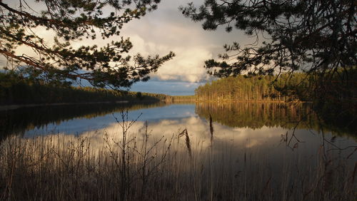 Scenic view of calm lake with trees and clouds reflection