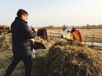 Man looking at cow in farm