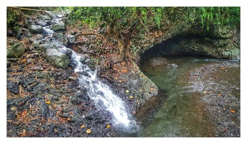 View of waterfall in forest