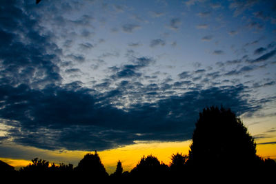 Silhouette of trees at sunset