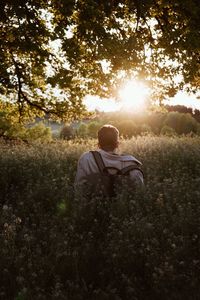 Rear view of man sitting on field against bright sun