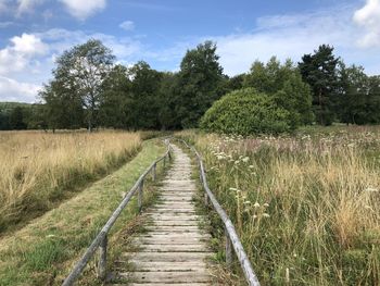 Boardwalk amidst trees on field against sky