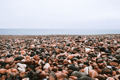 Pebbles on beach against clear sky