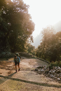 Rear view of woman walking by trees against sky