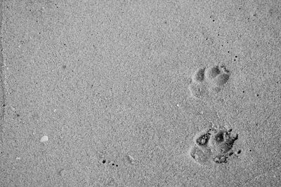 High angle view of footprints on sand