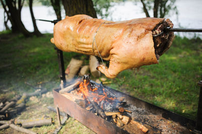 Close-up of pork roasted over firewood at lakeshore