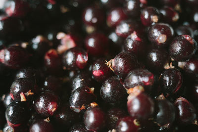 Full frame shot of berries