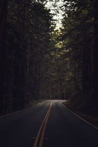 Road amidst trees in forest