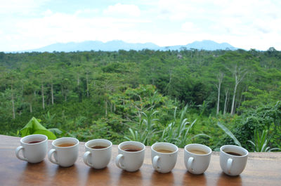 Coffee tasting with volcano background on balk 