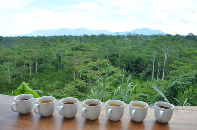 Coffee cup on table against trees