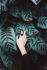 Close-up of woman touching plants