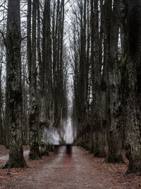 Long exposure of joggers in forest