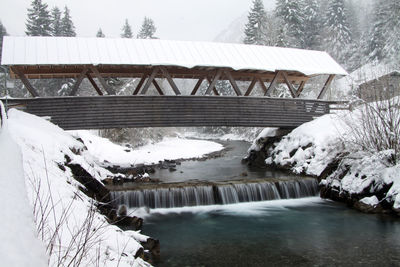 Frozen river by trees during winter