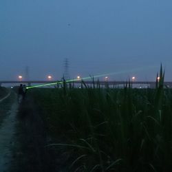 Illuminated street light at night