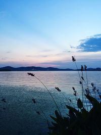 Scenic view of sea against sky at sunset