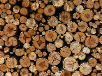 Full frame shot of logs in forest