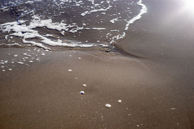 High angle view of bubbles on beach