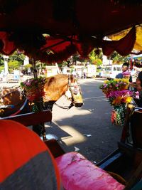 View of flower trees in bus