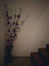 Potted plant in vase