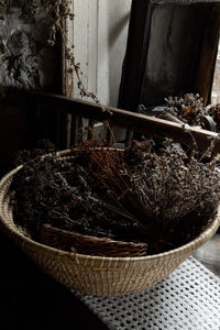 Close-up of potted plant in basket