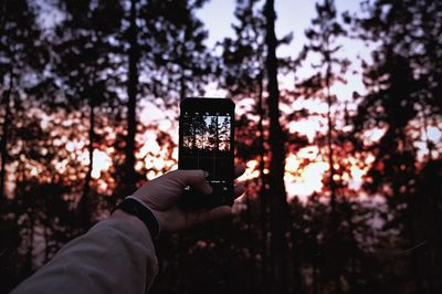 Cropped hand of person photographing with mobile phone against trees during sunset
