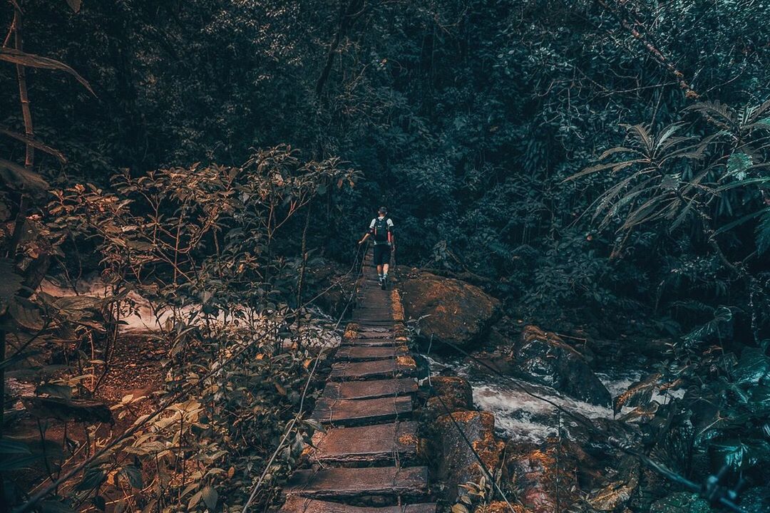 MAN STANDING BY STAIRCASE AT FOREST