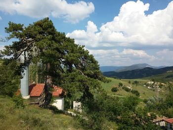 Trees on landscape against sky