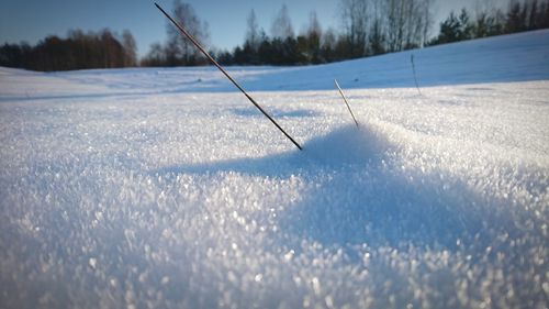 Scenic view of field against sky during winter