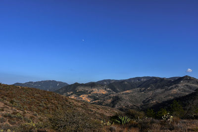 Scenic view of landscape against clear blue sky
