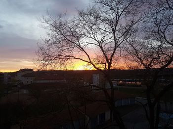 Bare tree and buildings against sky during sunset