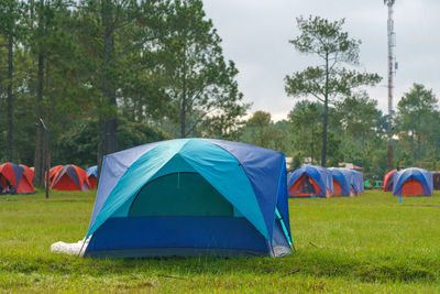 Tourist tent in camp among meadow in phu kradueng thailand.