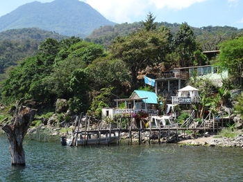 Trees and houses by sea against mountains