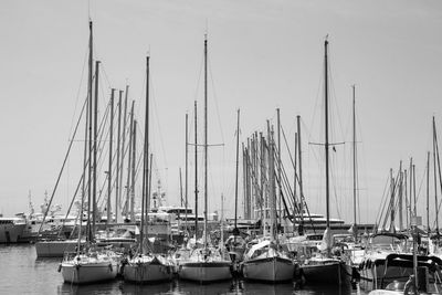 Sailboats moored in marina