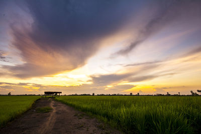 Scenic view of field against sky during sunset