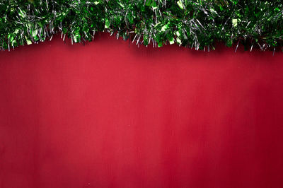 Close-up of christmas tree against wall