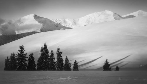 Scenic view of snowcapped mountains against sky in rodnei mountains 