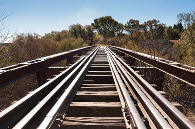 Surface level of railway tracks along trees