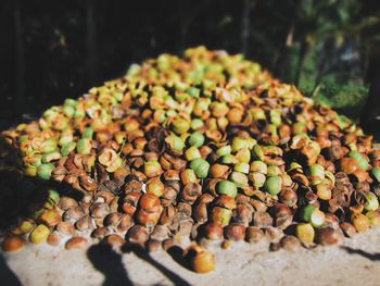 Tilt-shift image of coconut shells pile