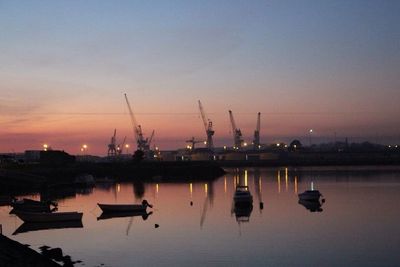 Cranes at sunset