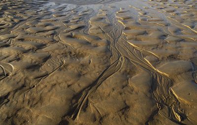 High angle view of sand on beach