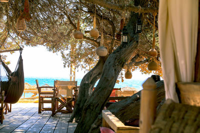 Empty chairs and tables against trees