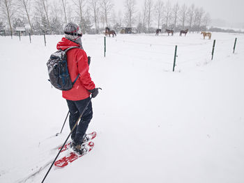 Girl walk with snowshoes at snowy horse paddock. snowfall in winter landscape, windy foggy weather