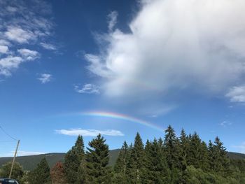 Scenic view of rainbow over trees against sky