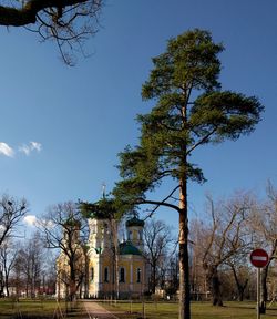 Trees and plants on field by building against clear blue sky