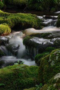 Stream flowing through rocks in forest