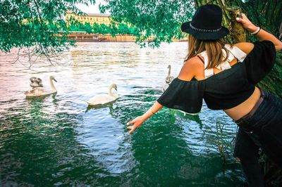 Rear view of swans swimming in lake