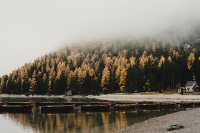Scenic view of lake by trees against sky