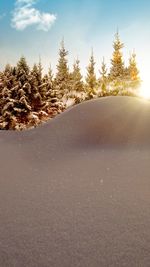 Untouched sparkling snow covers the ground the morning sun reinforces the whiteness and tranquility