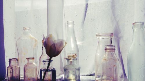 Close-up of food on table