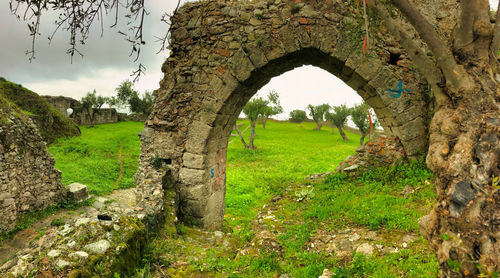 Trees on landscape seen through archway